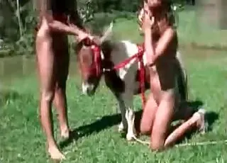 Sexy Pony Zoophilic Video Clip animal sex Zoo Sex HD Clips