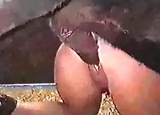 Crazy Pony Wild Sex Scene HD - animal sex Zoo Tube Clip with Horse