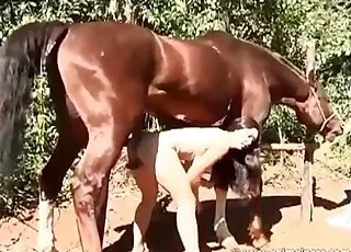 Hot Stallion Fucking Whore in Classic Porno Movie Clip